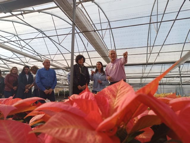La consejera de Agricultura y la alcaldesa visitan el vivero de la empresa lumbrerense Barberet&Blanc y animan a los ciudadanos a comprar flores de pascua durante las fiestas de Navidad - 3, Foto 3