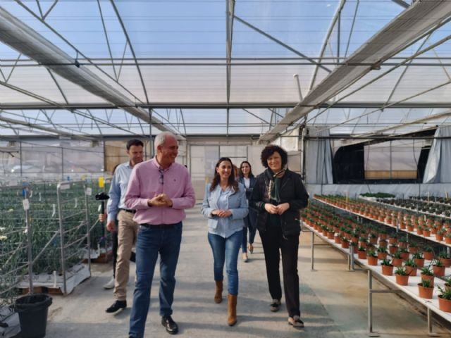 La consejera de Agricultura y la alcaldesa visitan el vivero de la empresa lumbrerense Barberet&Blanc y animan a los ciudadanos a comprar flores de pascua durante las fiestas de Navidad - 4, Foto 4