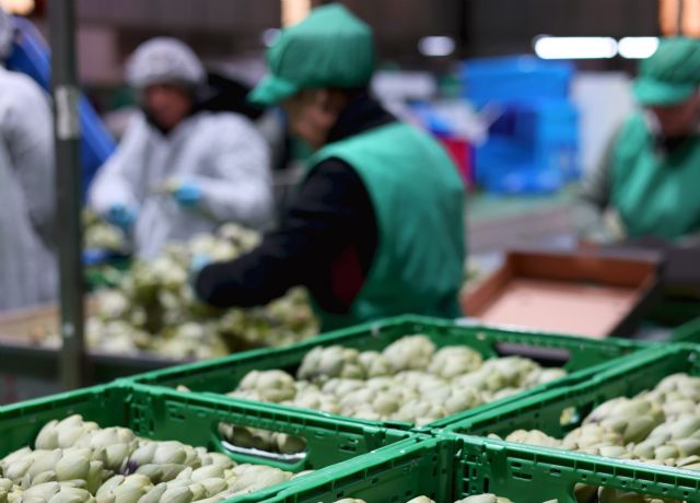 Eurofruits levante s.l. entra en anecoop y amplía su alcance en el mercado hortofrutícola - 1, Foto 1