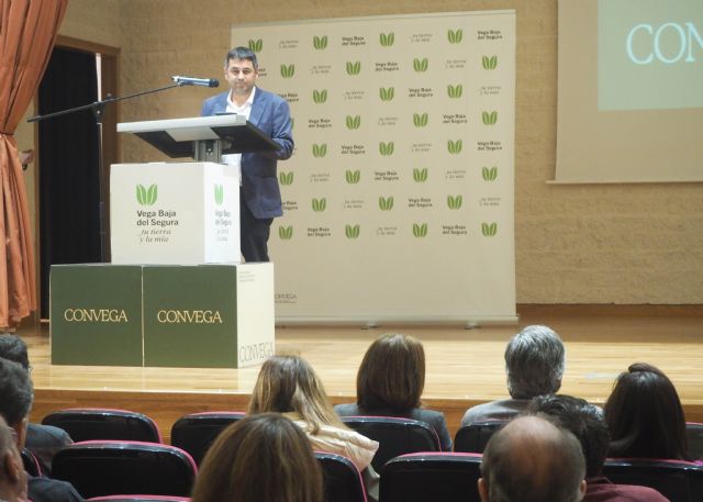 El nuevo Plan de Marketing de la Vega Baja apuesta por consolidar la marca territorio, crear una oferta cohesionada y diversificada - 3, Foto 3