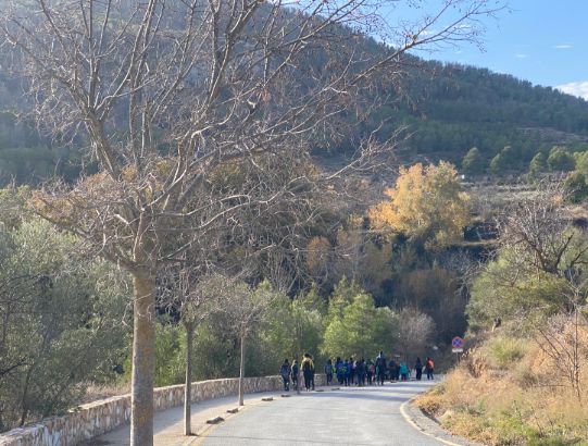 El programa Vive Tu Río arranca en Bullas con una ruta interpretativa con el alumnado del CEIP Antonio Machado - 3, Foto 3