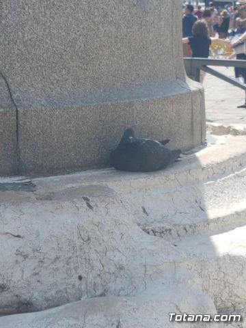 Un grupo de alumnos del IES «Prado Mayor» estn en Rmini (Italia) como parte del proyecto ERASMUS + - 30