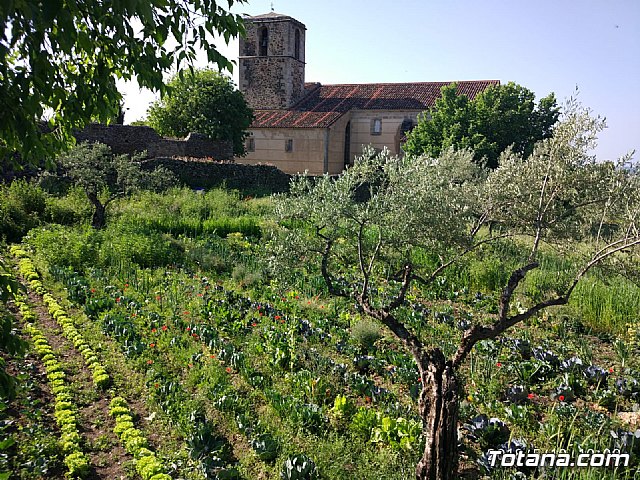 Recuperacin Educativa de Pueblos Abandonados 2018. Granadilla – IES Prado Mayor - 29