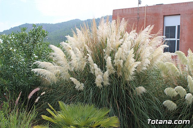 Ciudadanos reitera su apoyo a la preservacin y puesta en valor de nuestro patrimonio durante su visita al yacimiento argrico de La Bastida en Totana - 2