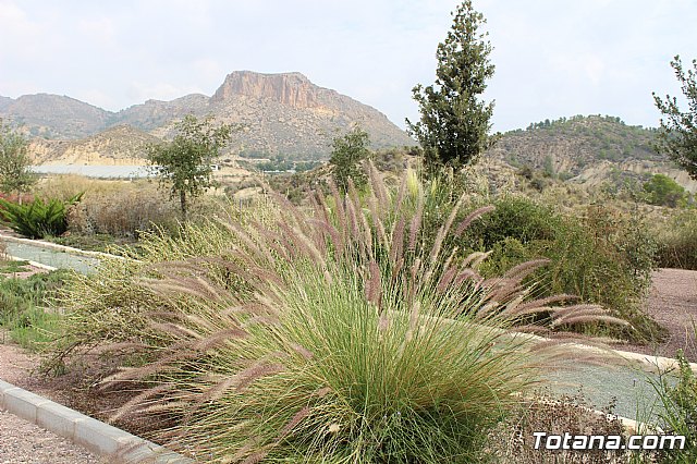Ciudadanos reitera su apoyo a la preservacin y puesta en valor de nuestro patrimonio durante su visita al yacimiento argrico de La Bastida en Totana - 8