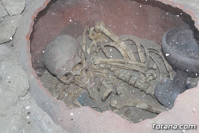 Ciudadanos reitera su apoyo a la preservacin y puesta en valor de nuestro patrimonio durante su visita al yacimiento argrico de La Bastida en Totana - 25