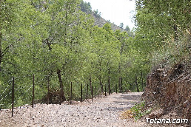 Ciudadanos reitera su apoyo a la preservacin y puesta en valor de nuestro patrimonio durante su visita al yacimiento argrico de La Bastida en Totana - 32