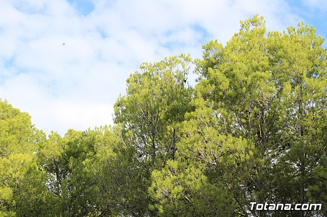 Acometen obras de reposicin de la barrera de seguridad en una curva pronunciada de la RM-502, conocida como carretera de La Santa - 18