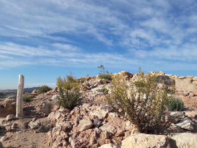 ASBA e Integral realizan labores de limpieza en el yacimiento arqueolgico de Tira del Lienzo - 2