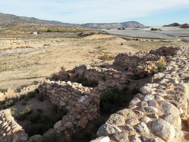 ASBA e Integral realizan labores de limpieza en el yacimiento arqueolgico de Tira del Lienzo - 6