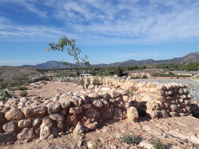 ASBA e Integral realizan labores de limpieza en el yacimiento arqueolgico de Tira del Lienzo - 8