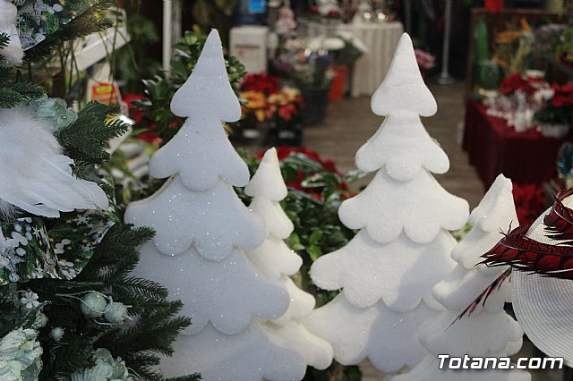 Se entregan los premios del IV Concurso de Escaparatismo de Navidad - 18