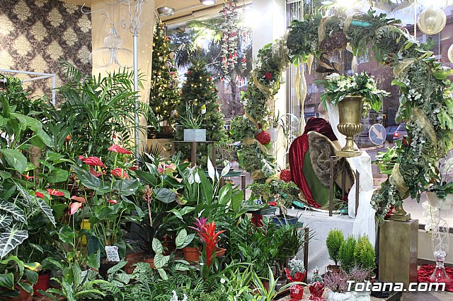 Se entregan los premios del IV Concurso de Escaparatismo de Navidad - 22