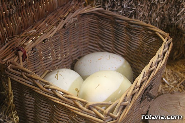 Se entregan los premios del IV Concurso de Escaparatismo de Navidad - 32