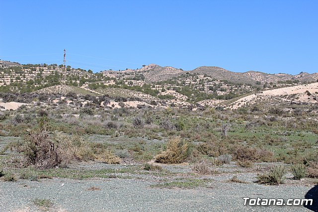 La comunidad de regantes de Totana ahorra un 10% de agua tras sustituir su canalizacin tradicional por una nueva tubera - 4