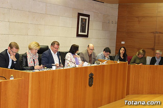 Pleno extraordinario y urgente 14/03/2019 - 1