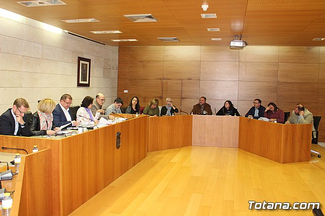 Pleno extraordinario y urgente 14/03/2019 - 2