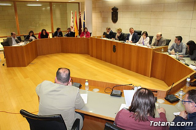 Pleno extraordinario y urgente 14/03/2019 - 6