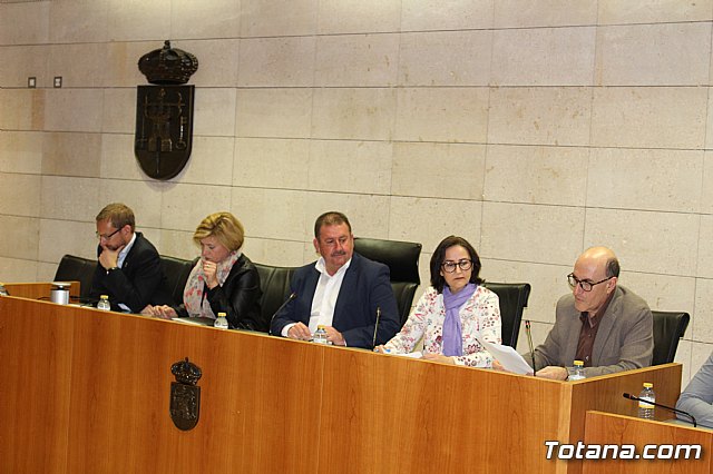 Pleno extraordinario y urgente 14/03/2019 - 7