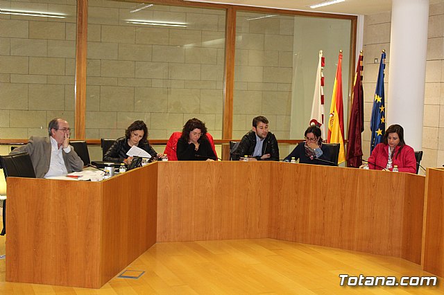 Pleno extraordinario y urgente 14/03/2019 - 8