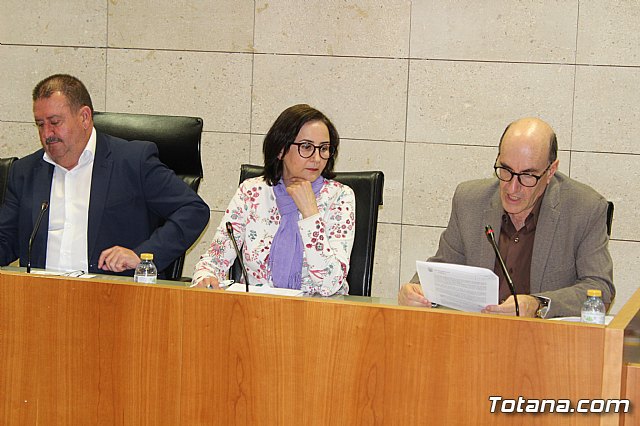 Pleno extraordinario y urgente 14/03/2019 - 9