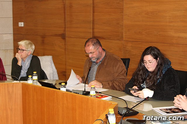 Pleno extraordinario y urgente 14/03/2019 - 11