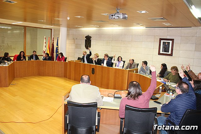 Pleno extraordinario y urgente 14/03/2019 - 13