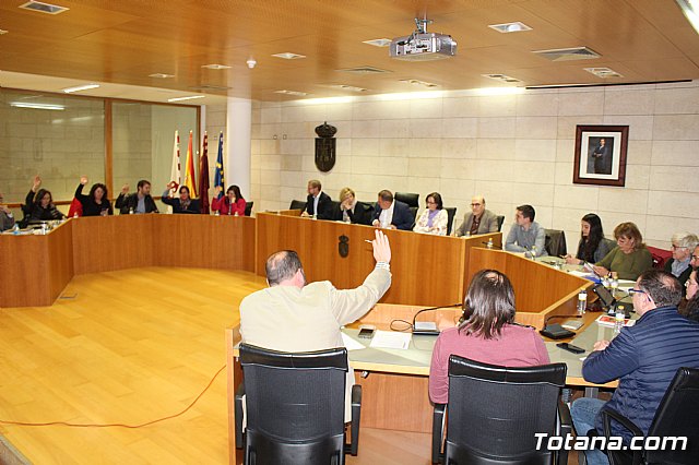 Pleno extraordinario y urgente 14/03/2019 - 14