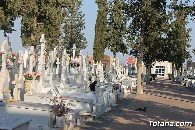 Tradicional Misa en el Cementerio “Nuestra Sra. del Carmen” con motivo de la festividad de la Virgen del Carmen 2019 - 15