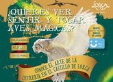La concejala de Turismo, a travs de Lorca Taller del Tiempo, da a conocer el arte de la cetrera en el castillo de Lorca