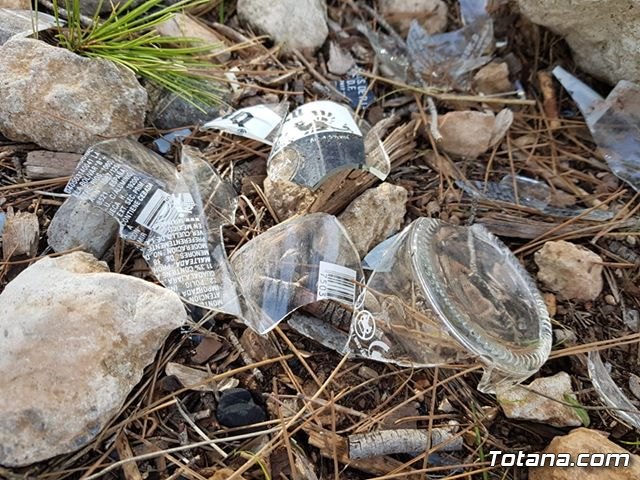 Escolares recogen basura en el paraje de La Santa - 4