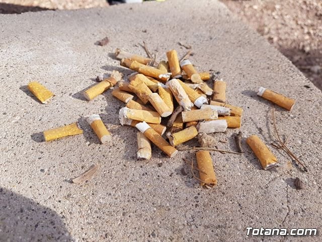 Escolares recogen basura en el paraje de La Santa - 5