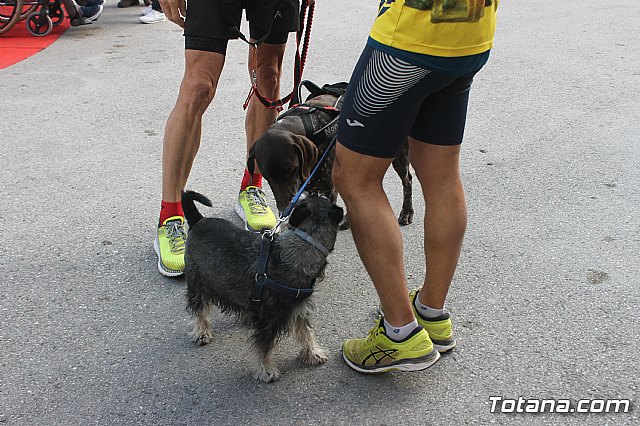 III Correvieja totanera - 17