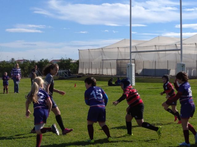 Los partidos del club rugby Totana, en las categoras sub 8 sub 10 y sub 12, se disputaron ayer en Orihuela - 1