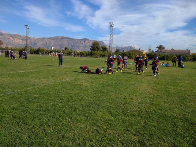 Los partidos del club rugby Totana, en las categoras sub 8 sub 10 y sub 12, se disputaron ayer en Orihuela - 3