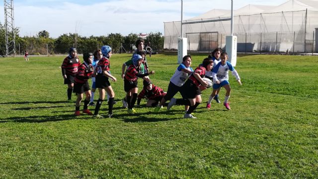 Los partidos del club rugby Totana, en las categoras sub 8 sub 10 y sub 12, se disputaron ayer en Orihuela - 6