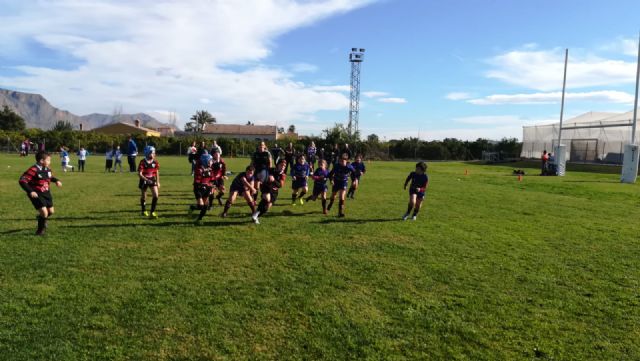 Los partidos del club rugby Totana, en las categoras sub 8 sub 10 y sub 12, se disputaron ayer en Orihuela - 10
