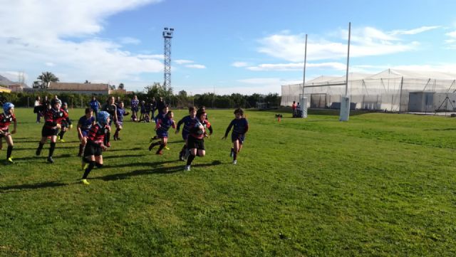 Los partidos del club rugby Totana, en las categoras sub 8 sub 10 y sub 12, se disputaron ayer en Orihuela - 13