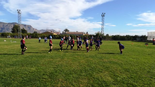 Los partidos del club rugby Totana, en las categoras sub 8 sub 10 y sub 12, se disputaron ayer en Orihuela - 17
