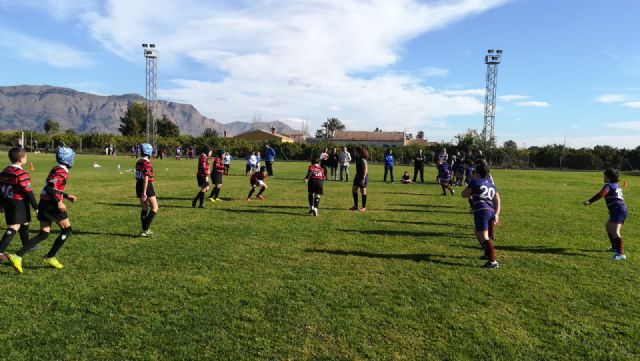 Los partidos del club rugby Totana, en las categoras sub 8 sub 10 y sub 12, se disputaron ayer en Orihuela - 20