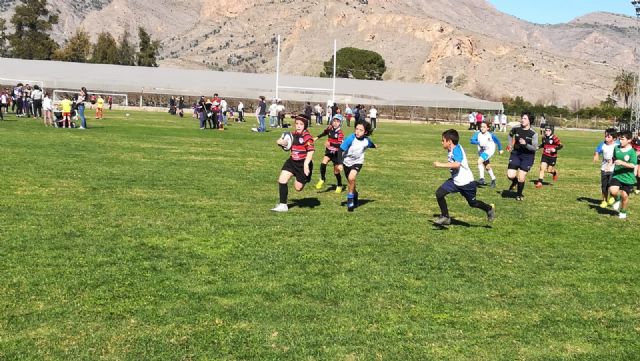 Los partidos del club rugby Totana, en las categoras sub 8 sub 10 y sub 12, se disputaron ayer en Orihuela - 19