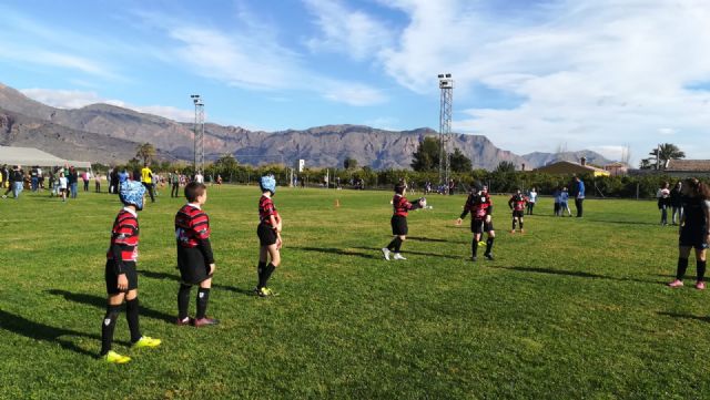 Los partidos del club rugby Totana, en las categoras sub 8 sub 10 y sub 12, se disputaron ayer en Orihuela - 21