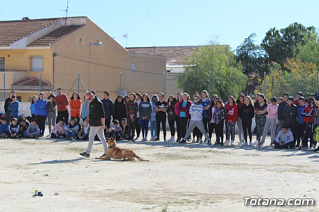 Exhibicin canina de animales que trabajan para contribuir a la recuperacin psicolgica de vctimas de violencia de gnero - 3