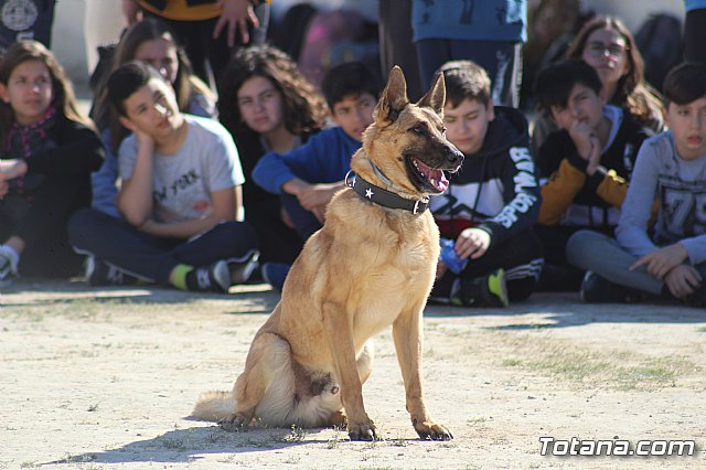 Exhibicin canina de animales que trabajan para contribuir a la recuperacin psicolgica de vctimas de violencia de gnero - 5