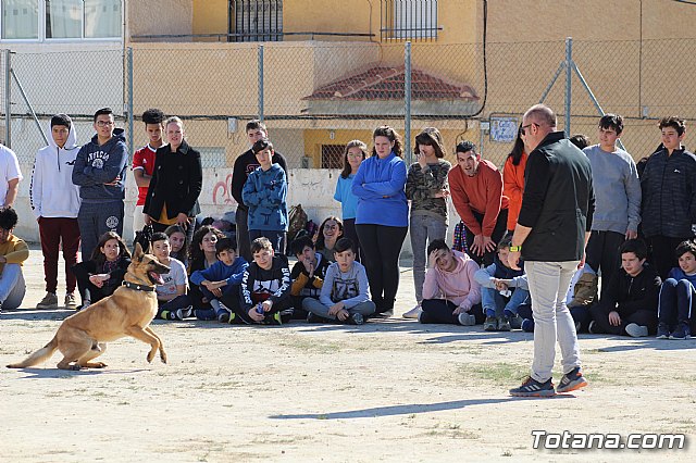 Exhibicin canina de animales que trabajan para contribuir a la recuperacin psicolgica de vctimas de violencia de gnero - 6