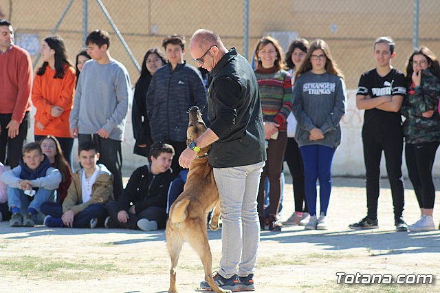 Exhibicin canina de animales que trabajan para contribuir a la recuperacin psicolgica de vctimas de violencia de gnero - 7