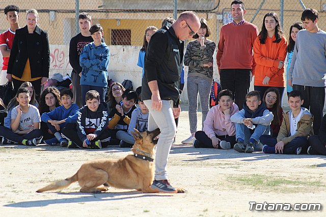 Exhibicin canina de animales que trabajan para contribuir a la recuperacin psicolgica de vctimas de violencia de gnero - 20