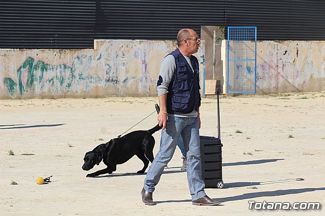 Exhibicin canina de animales que trabajan para contribuir a la recuperacin psicolgica de vctimas de violencia de gnero - 30
