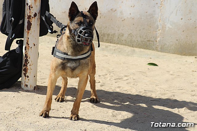 Exhibicin canina de animales que trabajan para contribuir a la recuperacin psicolgica de vctimas de violencia de gnero - 24
