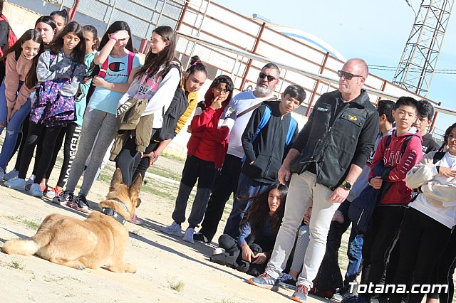Exhibicin canina de animales que trabajan para contribuir a la recuperacin psicolgica de vctimas de violencia de gnero - 26